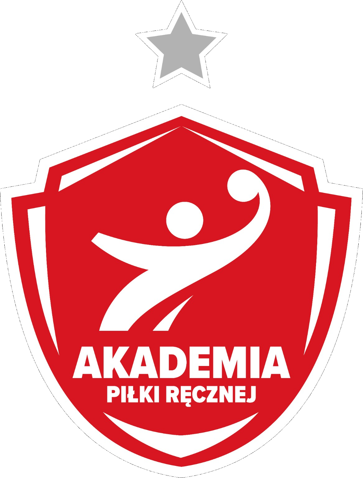 Akademia Piłki Ręcznej
